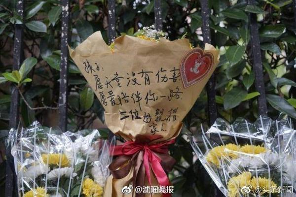 奥利尼克：和文班打球是千载难逢的机会 他在攻防两端改变了比赛